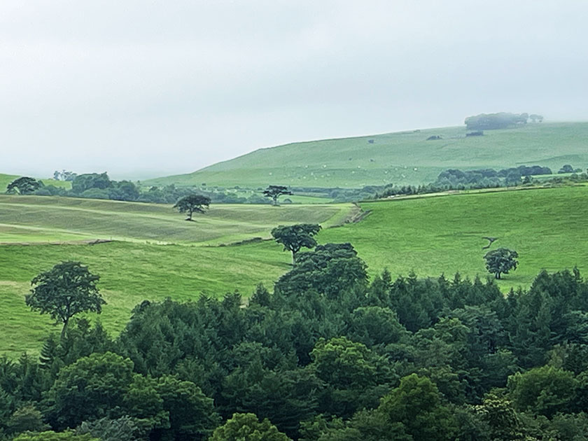十勝ゴルフ旅＆ナイタイ牧場